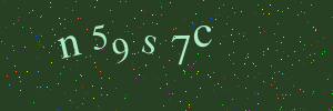 Validation image